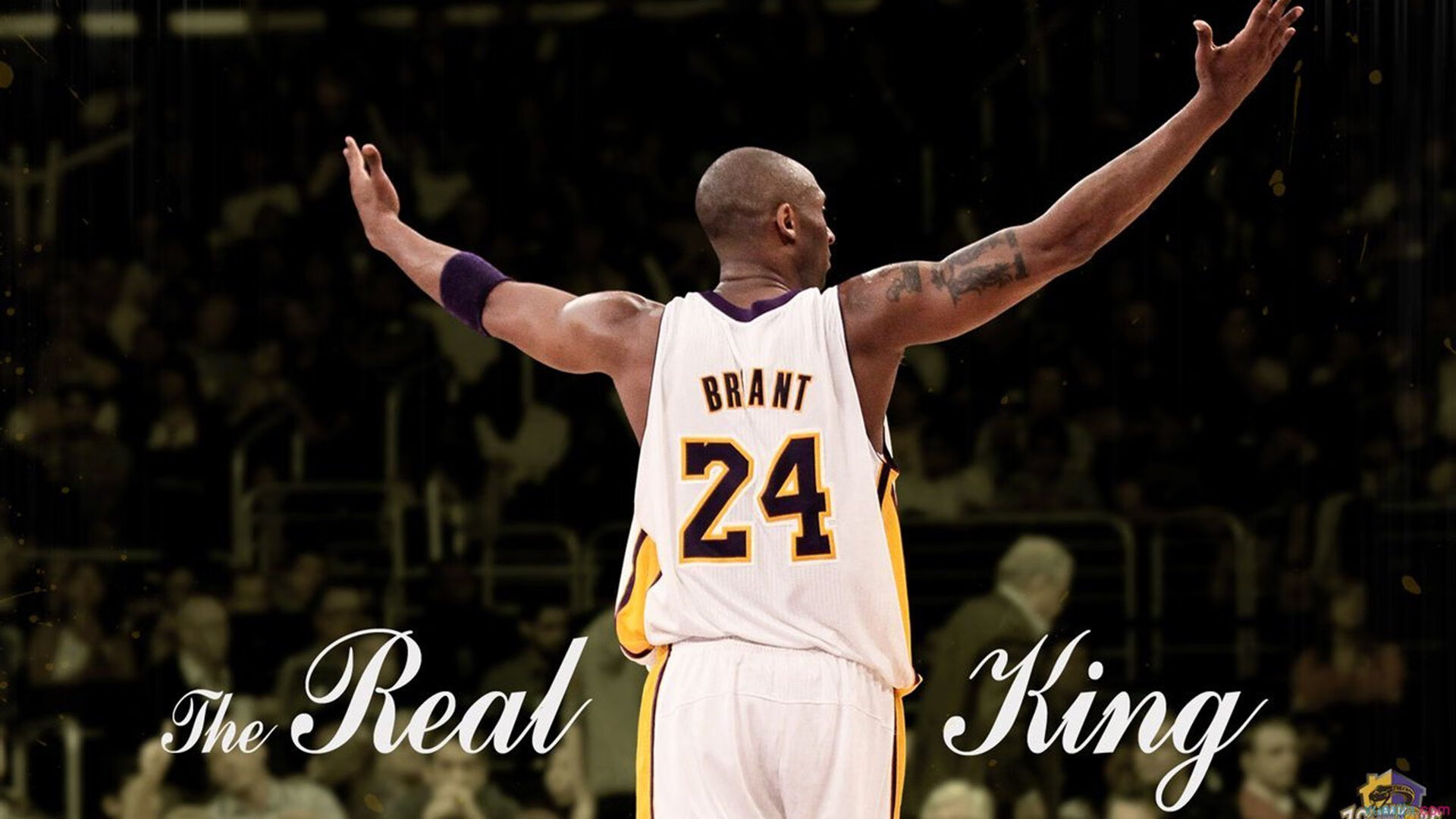 _快船迎来关键战役，团队合作展现实力_，快船队集锦